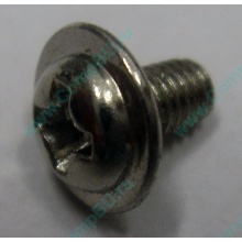 Компьютерный винт "малый" PW-M3x6mm (Раменское)