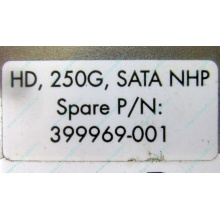 HP 250G 7.2k 432337-001/ 399699-001 / 397377-004 SATA HDD (Раменское)