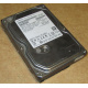 HDD 500Gb Hitachi HDS721050DLE630 донор на запчасти (Раменское)