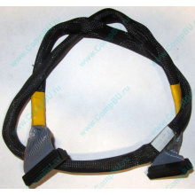 Кабель SCSI HP 166298-037 для HP ML370 G4 (Раменское)