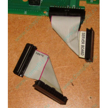 6017B0045701 Шлейф 24 pin для Intel C74974-401 T0043401-B01 корпуса SR2400 (Раменское)