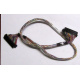 Intel 6017B0045301 в Раменском, 68 pin SCSI кабель 26.5" / 57см для корзины HDD корпуса SR2400 (Раменское)