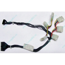 59P4789 FRU 59P4792 в Раменском, кабель IBM 59P4789 FRU 59P4792 для серверов X225 (Раменское)