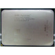 AMD Opteron 6128 OS6128WKT8EGO (Раменское)