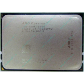 AMD Opteron 6128 OS6128WKT8EGO (Раменское)