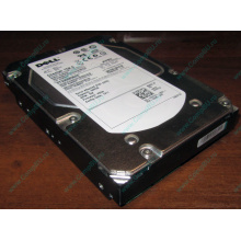 Жесткий диск 300Gb 15k Dell 9CH066-050 6G SAS (Seagate Cheetach ST3300656SS 15K.6) - Раменское