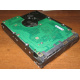 Жесткий диск 300Gb 15k Seagate Cheetach ST3300656SS 15K.6 Dell 9CH066-050 6G SAS (Раменское)